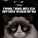 Illustration for article titled The Grumpy Cat Weather App Wont Sugar Coat Things For You